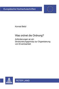 Was Ordnet Die Ordnung?: Anforderungen an Ein Strukturierungsprinzip Zur Organisierung Von Erwerbsarbeit