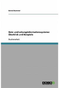 Netz- und Leitungsinformationssysteme
