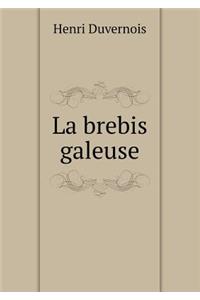 La Brebis Galeuse