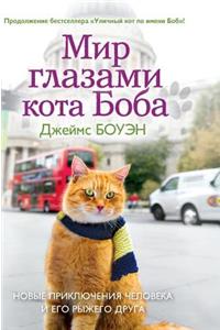 The World Through the Eyes of Bob Cat. the New Adventures of Red Man and His Friend