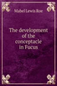 development of the conceptacle in Fucus
