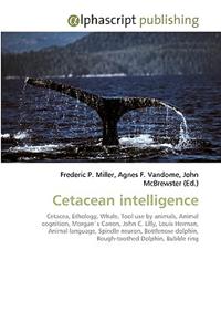 Cetacean Intelligence