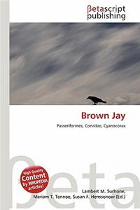 Brown Jay
