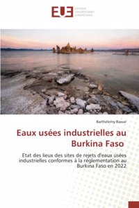 Eaux usées industrielles au Burkina Faso