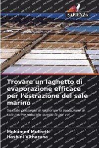 Trovare un laghetto di evaporazione efficace per l'estrazione del sale marino