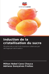 Induction de la cristallisation du sucre