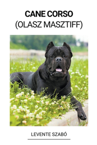 Cane Corso (Olasz Masztiff)