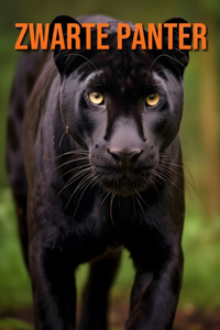 Zwarte Panter