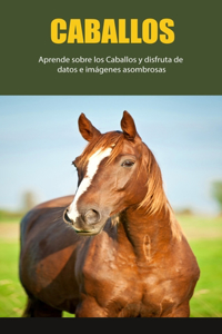 Caballos