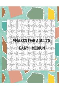 Mazes for adults