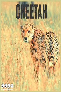 Cheetah 2021 Wall Calendar