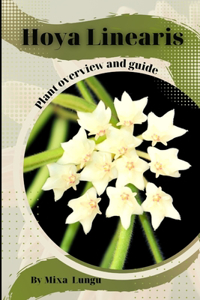 Hoya Linearis