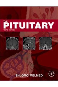 The Pituitary