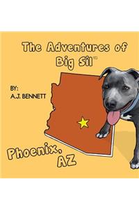 The Adventures of Big Sil Phoenix