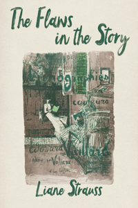 Flaws in the Story