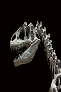 Notizbuch mit Dinosaurier