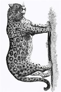 Notizbuch für Kreative