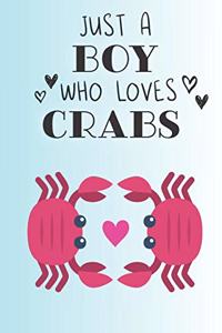 Just A Boy Who Loves Crabs