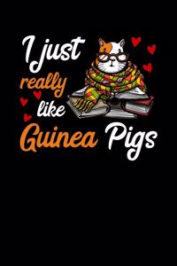 I Just Really Like Guinea Pigs
