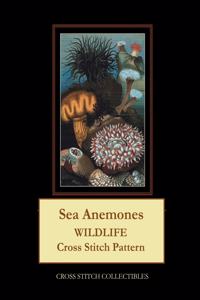 Sea Anemones