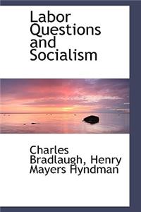 Labor Questions and Socialism