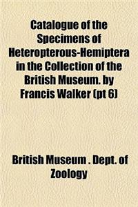 Catalogue of the Specimens of Heteropterous-Hemiptera in the Collection of the British Museum. by Francis Walker (PT 6)