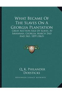 What Became Of The Slaves On A Georgia Plantation