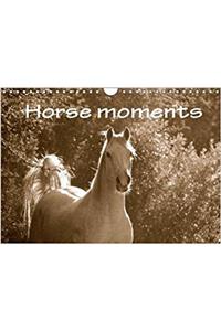 Horse Moments 2018