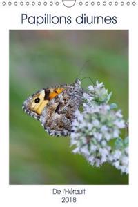 Papillons diurnes de l'Herault 2018