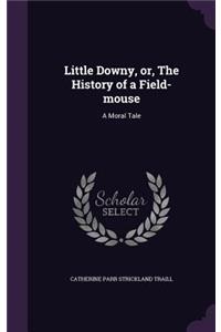 Little Downy, or, The History of a Field-mouse