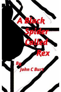 A Black Spider Called Rex.