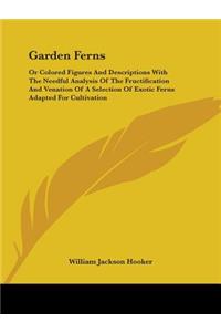 Garden Ferns