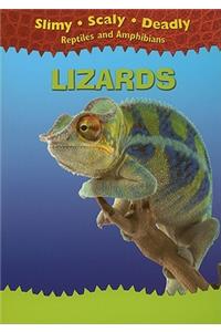 Lizards