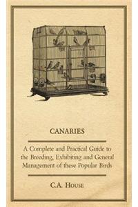 Canaries - A Complete and Practical Guide to the Breeding, Exhibiting and General Management of These Popular Birds