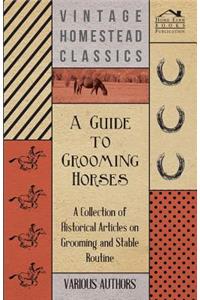 A Guide to Grooming Horses - A Collection of Historical Articles on Grooming and Stable Routine