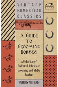 A Guide to Grooming Horses - A Collection of Historical Articles on Grooming and Stable Routine