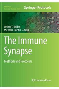 Immune Synapse