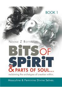 Bits of Spirit & Parts of Soul