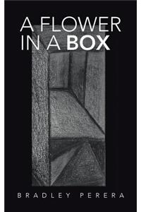A Flower in a Box