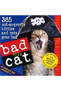 Bad Cat Page-A-Day Calendar 2019