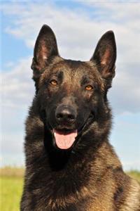 The Belgian Malinois Shepherd Dog Journal