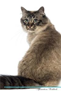Birman Cat Affirmations Workbook Birman Cat Presents
