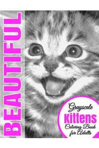 Beautiful Grayscale Kittens Adult Coloring Book