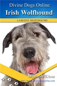 Irish Wolfhound