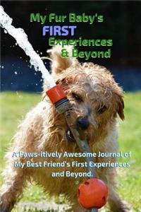 My Fur Baby's First Experiences & Beyond