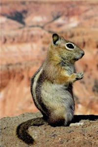 Golden Mantled Ground Squirrel in a Canyon Journal