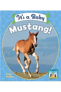 It's a Baby Mustang!