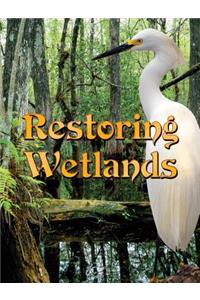 Restoring Wetlands