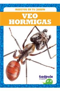 Veo Hormigas (I See Ants)