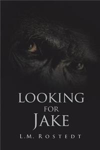 Looking for Jake